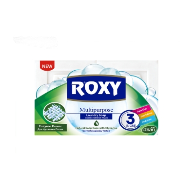 ROXY Laundry Soap-Stain Remover 2 x 125 g